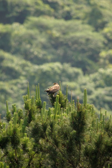 20120501-_dsc4631_