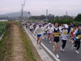4082.jpg
