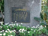 4415.jpg