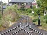 4725.jpg