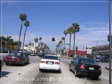 355.jpg